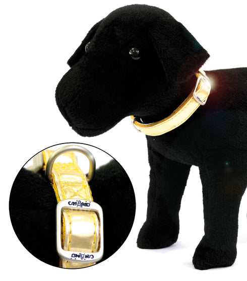 Zgarda Reglabila Royal 20CM-30X10MM